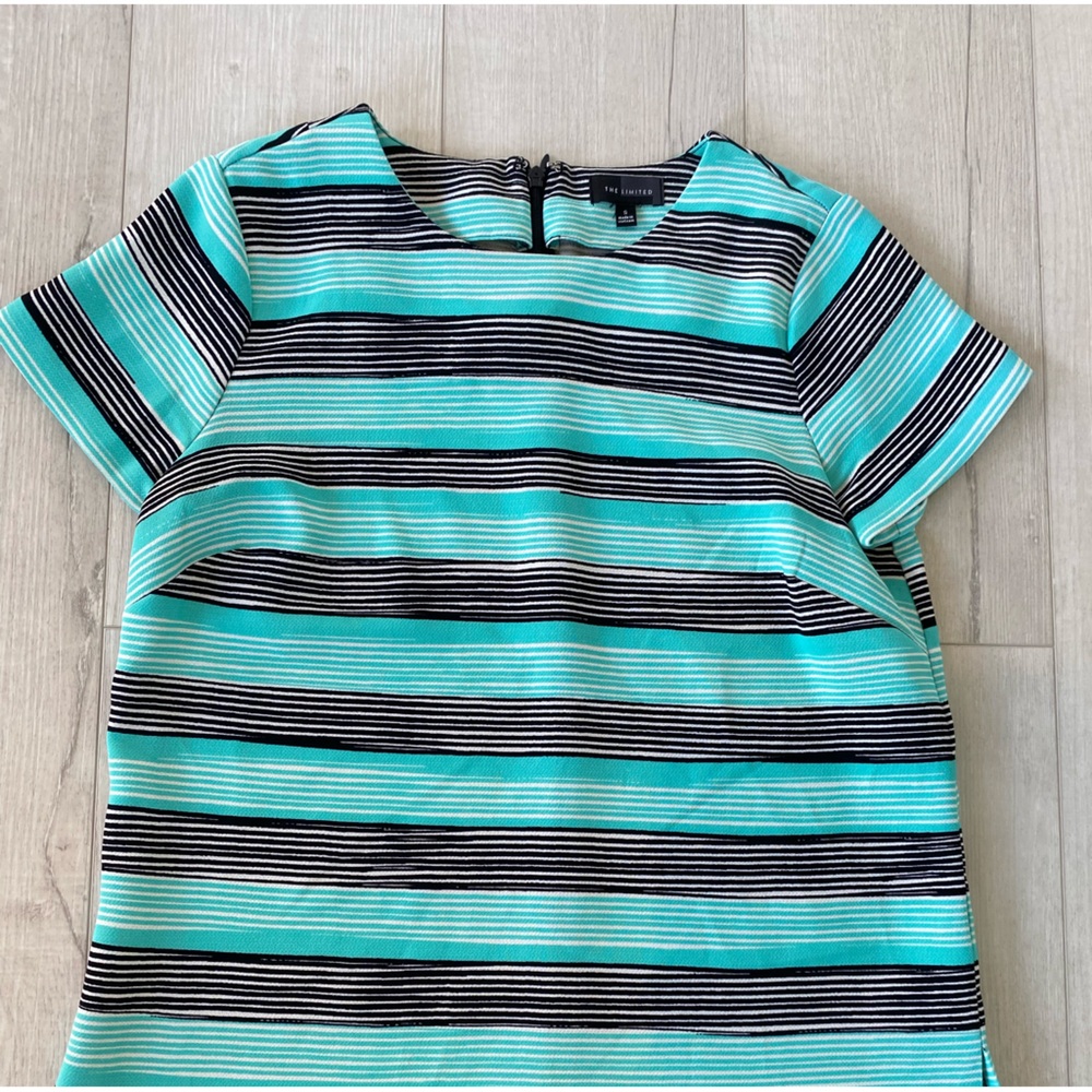 The Limited Dress Shirt